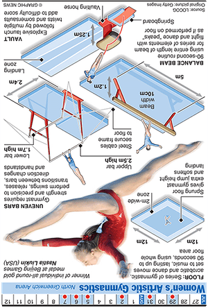 Olympics 2012 in infographics: gymnastics